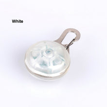 Load image into Gallery viewer, Pet Night Safety LED Flashlight Collar Dog Guide Lights Glowing Pendant Necklace Pet Luminous Bright Glowing Collar NO BATTERY