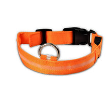 Load image into Gallery viewer, Nylon LED Pet Dog Collar,Night Safety Flashing Glow In The Dark Dog Leash,Dogs Luminous Fluorescent Collars Pet Supplies