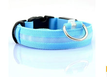Load image into Gallery viewer, Nylon LED Pet Dog Collar,Night Safety Flashing Glow In The Dark Dog Leash,Dogs Luminous Fluorescent Collars Pet Supplies