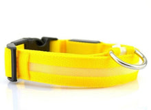 Load image into Gallery viewer, Nylon LED Pet Dog Collar,Night Safety Flashing Glow In The Dark Dog Leash,Dogs Luminous Fluorescent Collars Pet Supplies