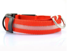 Load image into Gallery viewer, LED Pet Nylon Dog Collar Night Safety Flashing Glow In The Dark Dog Leash Dogs Luminous Fluorescent Collars Collar Perro